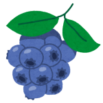 fruit_blueberry